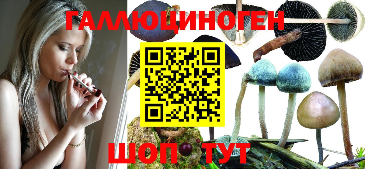 Псилоцибиновые грибы мухоморы  Псилоцибиновые грибы Psilocybe  Чехов  Вход с VPN 
