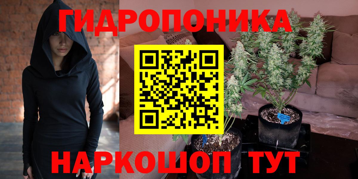 Каннабис ГИДРОПОН  Конопля гибрид  Чехов  Вход с VPN  Бошки марихуана марихуана 